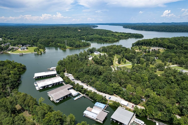 556 Kashaya Ln, Soddy Daisy, TN 37379 - photo 37