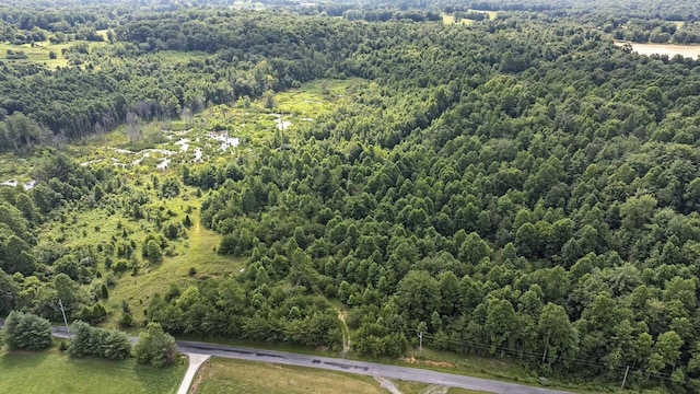 329 Flower Garden Rd, Grandview, TN 37337 - photo 3