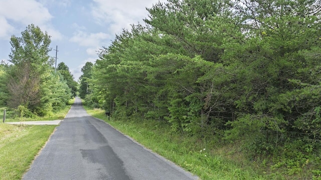 329 Flower Garden Rd, Grandview, TN 37337 - photo 6