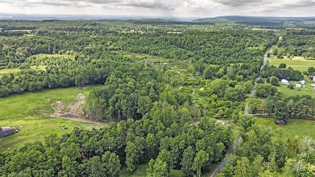 329 Flower Garden Rd, Grandview, TN 37337 - photo 12