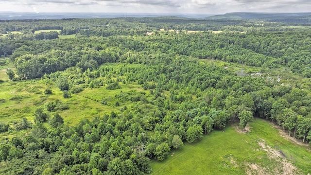329 Flower Garden Rd, Grandview, TN 37337 - photo 15