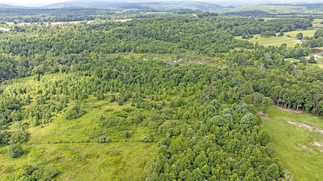329 Flower Garden Rd, Grandview, TN 37337 - photo 16