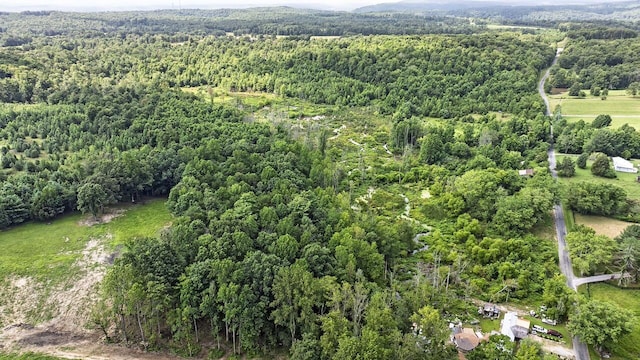 329 Flower Garden Rd, Grandview, TN 37337 - photo 2