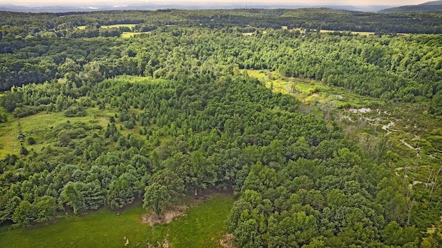 329 Flower Garden Rd, Grandview, TN 37337 - photo 17
