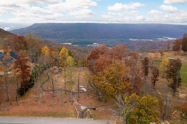 1711 Raulston Falls Road Sv229&230, Jasper, TN 37347 - photo 16