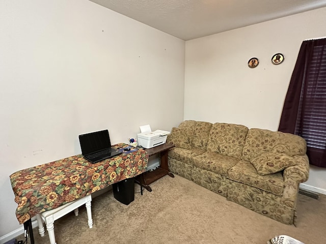 228 E Dumplin Valley Rd, Jefferson City, TN 37760 - photo 13