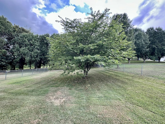 228 E Dumplin Valley Rd, Jefferson City, TN 37760 - photo 22