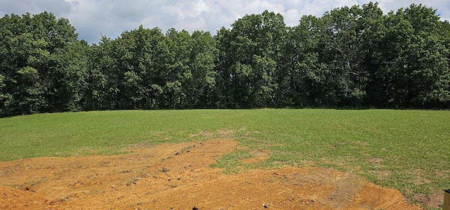 1368 Bennie Camp Rd, Dunlap, TN 37327 - photo 8