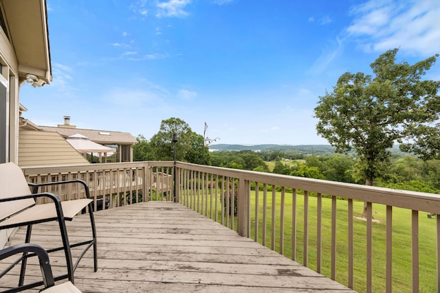 5914 Rainbow Springs Dr, Chattanooga, TN 37416 - photo 41