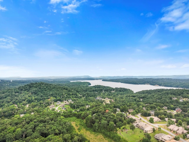 5914 Rainbow Springs Dr, Chattanooga, TN 37416 - photo 50