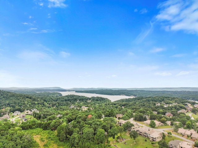 5914 Rainbow Springs Dr, Chattanooga, TN 37416 - photo 52