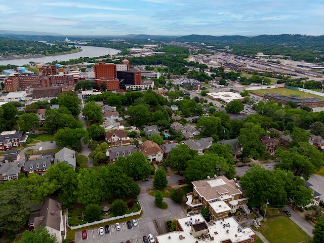 900 Vine St Unit 3, Chattanooga, TN 37403 - photo 59