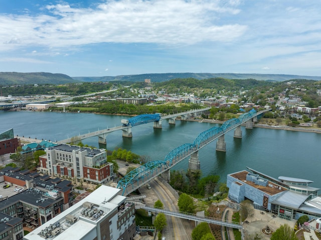 251 Walnut St, Chattanooga, TN 37403 - photo 41