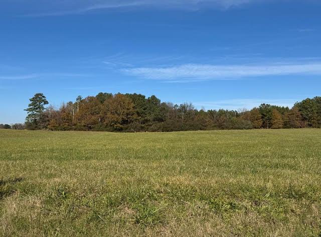 LOT15 Tucker School Rd, Cohutta, GA 30710 - photo 2