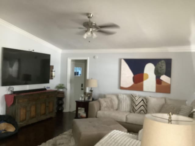 8114 Royal Dr, Chattanooga, TN 37421 - photo 20