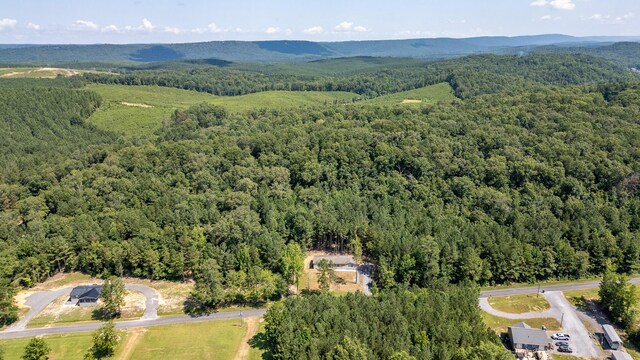 145 County Road 686, Cedar Bluff, AL 35959 - photo 4