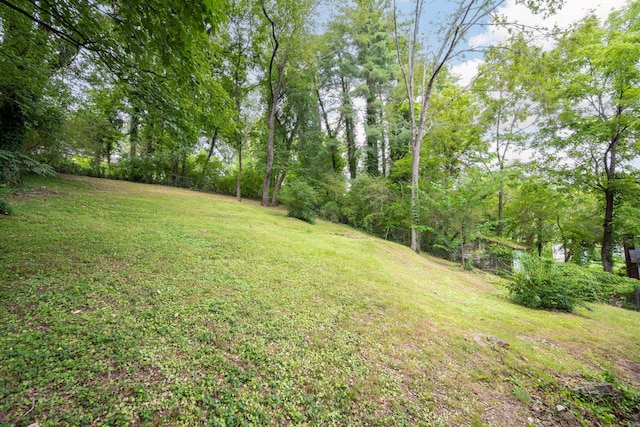 622 Lupton Dr, Chattanooga, TN 37415 - photo 26