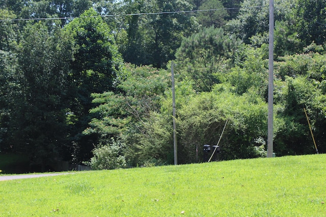 150 Crane St SW, Mcdonald, TN 37353 - photo 20