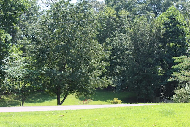 150 Crane St SW, Mcdonald, TN 37353 - photo 21