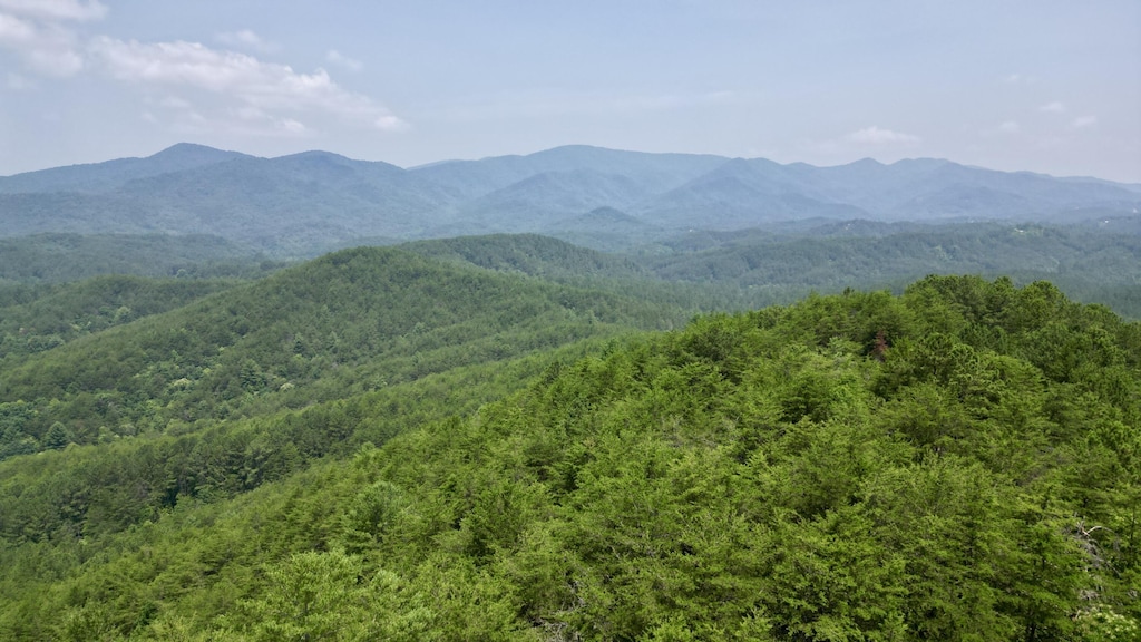 00 Little Mountain Rd, Copperhill, TN 37317 - photo 1
