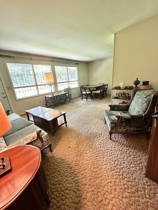 3627 John Sims Rd, Chattanooga, TN 37412 - photo 4