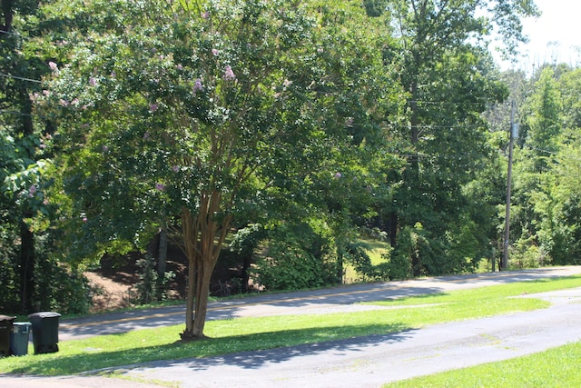 160 Crane St, Mcdonald, TN 37353 - photo 32