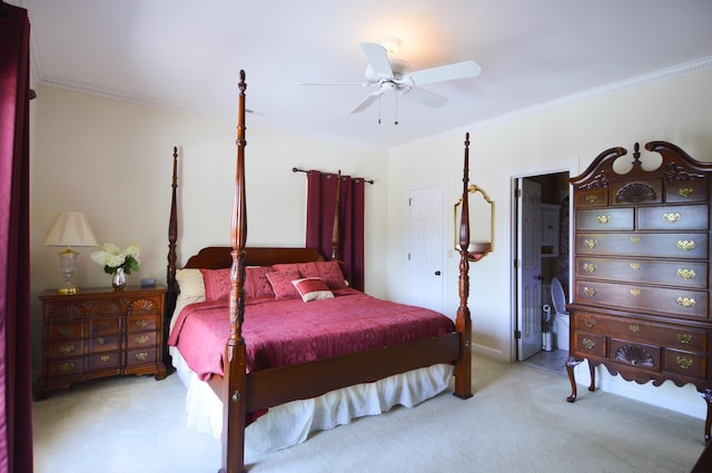 523 Winterview Ln, Chattanooga, TN 37409 - photo 15
