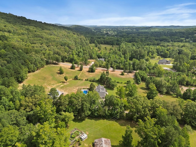 5305 Mcdonald Rd, Mcdonald, TN 37353 - photo 49