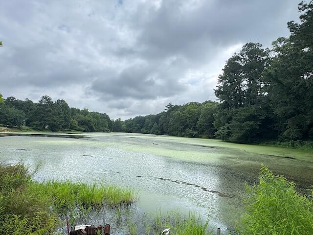 3950 Chattanooga Rd, Tunnel Hill, GA 30755 - photo 44
