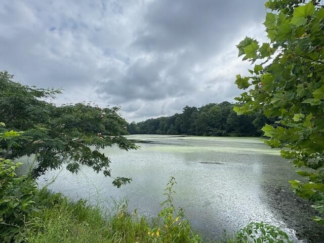 3950 Chattanooga Rd, Tunnel Hill, GA 30755 - photo 46