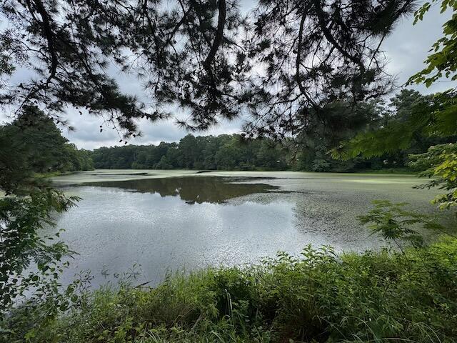3950 Chattanooga Rd, Tunnel Hill, GA 30755 - photo 48
