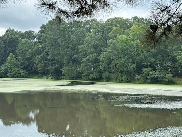 3950 Chattanooga Rd, Tunnel Hill, GA 30755 - photo 49