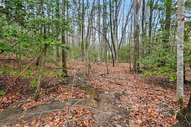 2424 Corral Rd, Signal Mountain, TN 37377 - photo 11
