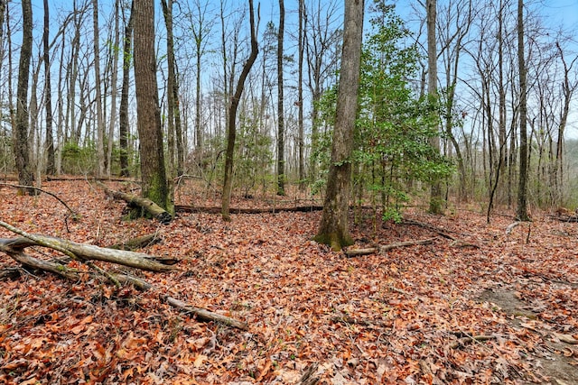 2424 Corral Rd, Signal Mountain, TN 37377 - photo 12