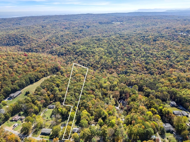 2424 Corral Rd, Signal Mountain, TN 37377 - photo 22