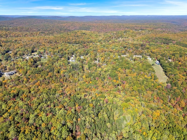 2424 Corral Rd, Signal Mountain, TN 37377 - photo 23