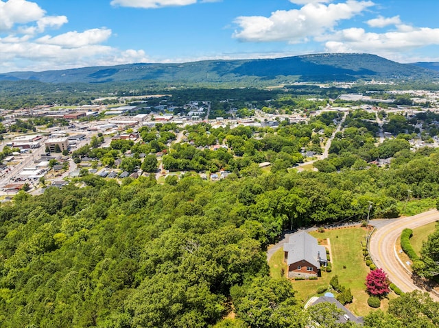 701 S Crest Rd, Chattanooga, TN 37404 - photo 61