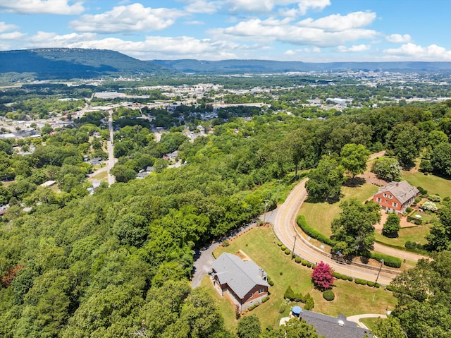 701 S Crest Rd, Chattanooga, TN 37404 - photo 63