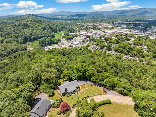 701 S Crest Rd, Chattanooga, TN 37404 - photo 65