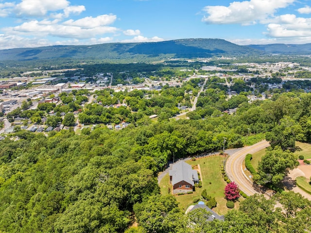 701 S Crest Rd, Chattanooga, TN 37404 - photo 68