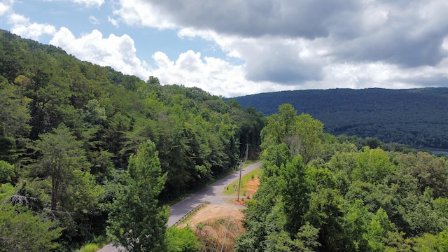 1298 Mullins Cove Rd, Whitwell, TN 37397 - photo 45