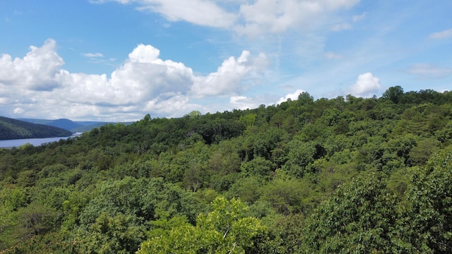 1298 Mullins Cove Rd, Whitwell, TN 37397 - photo 46