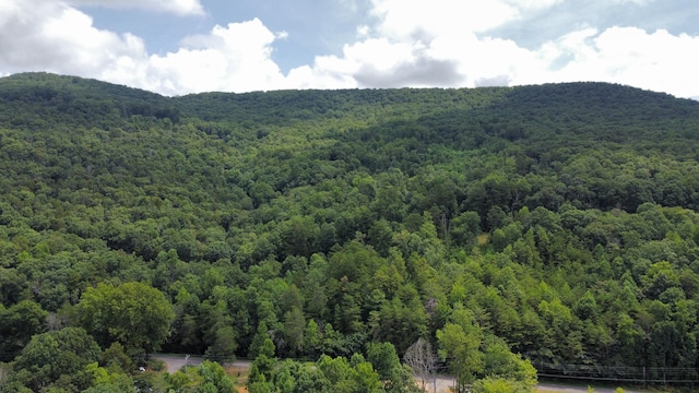 1298 Mullins Cove Rd, Whitwell, TN 37397 - photo 50