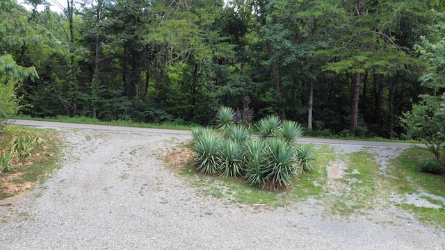 1298 Mullins Cove Rd, Whitwell, TN 37397 - photo 54