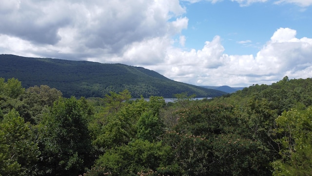 1298 Mullins Cove Rd, Whitwell, TN 37397 - photo 52