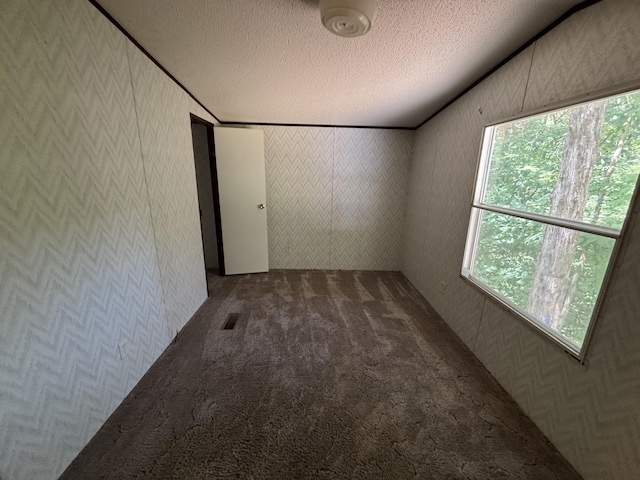 1298 Mullins Cove Rd, Whitwell, TN 37397 - photo 40