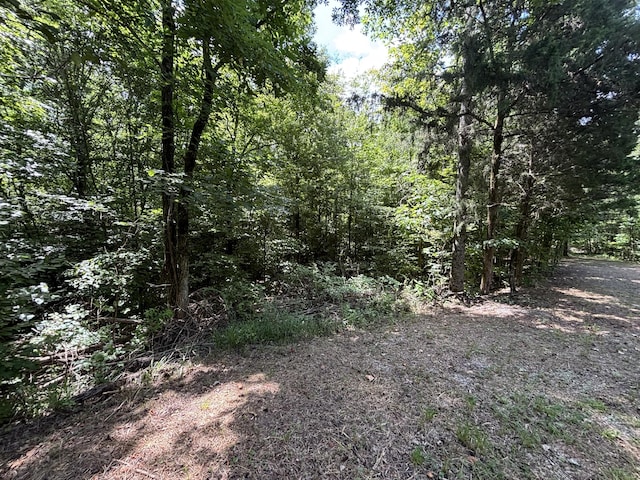 1 Mullins Cove Rd, Whitwell, TN 37397 - photo 3