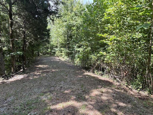 1 Mullins Cove Rd, Whitwell, TN 37397 - photo 4