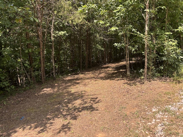 1 Mullins Cove Rd, Whitwell, TN 37397 - photo 5