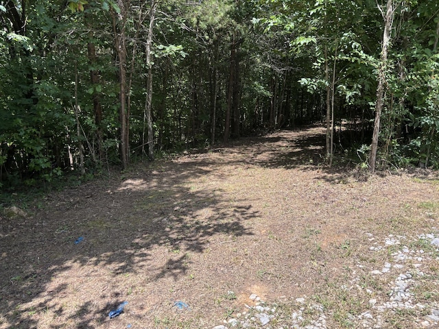1 Mullins Cove Rd, Whitwell, TN 37397 - photo 7